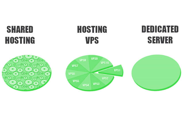 Which web hosting to choose